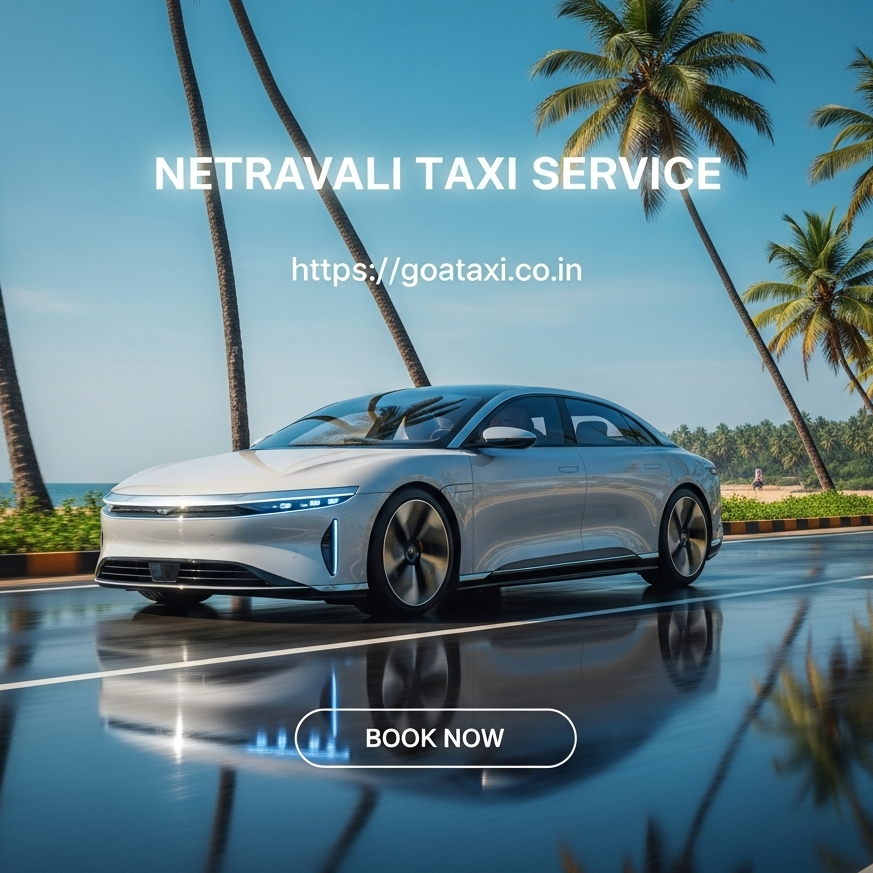 Netravali Taxi Service